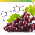 Resveratrol and Its Health Benefits
